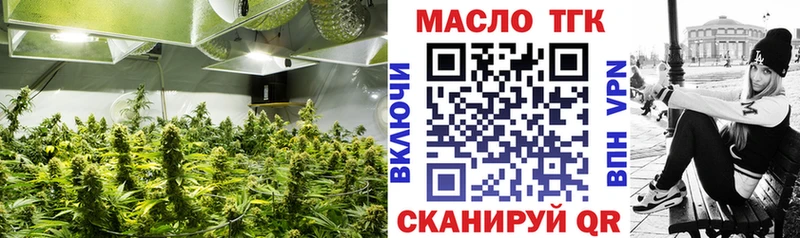 ТГК THC oil  закладки  Баксан 