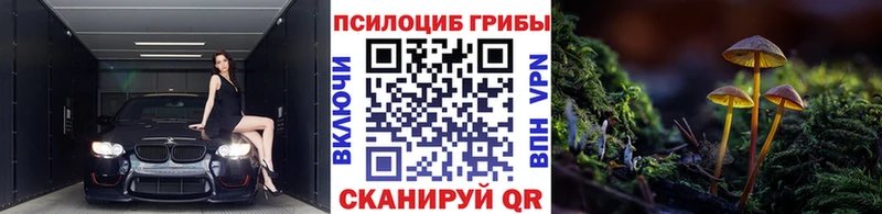 наркошоп Баксан ОМГ ОМГ вход Галлюциногенные грибы прущие грибы